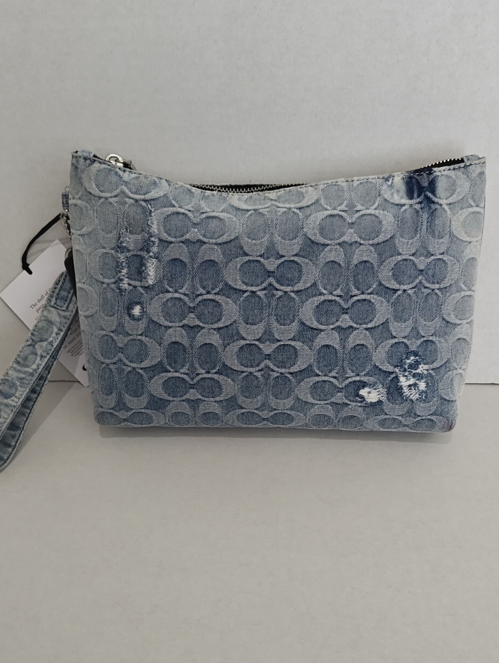 Coach Pouch In Loved Signature